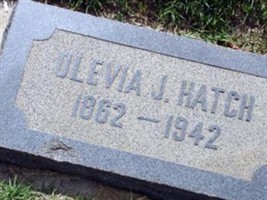 Olivia Sophia Johnson Hatch Olivia Sophia Johnson Hatch