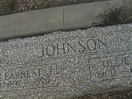 Ollie B Johnson