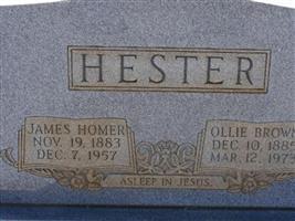 Ollie Brown Hester (2044046.jpg)