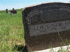 Ollie Calvin Newland