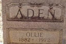 Ollie Dora Capers Aden Ollie Dora Capers Aden