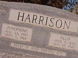 Ollie Harrison