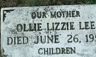 Ollie Lizzie Lee