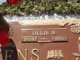 Ollie Lucille Hughes Skeens