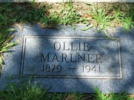 Ollie Rule Marlnee