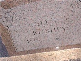 Ollie S. Bushey
