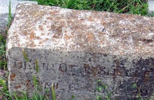 Ollin Otis Shelley
