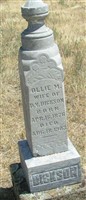 O. M. Gist