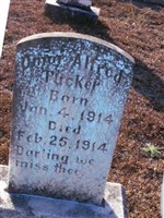 Omar Alfred Tucker