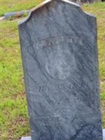 O. P. Foster