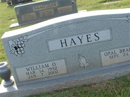Opal Bradshaw Hayes