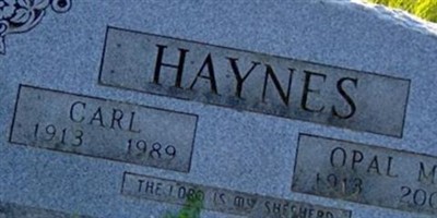 Opal Brown Haynes Opal Brown Haynes
