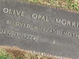 Opal G Morrison