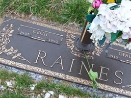 Opal Helen Hunt Raines