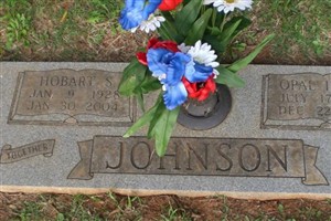 Opal Irene (Vickers) Johnson