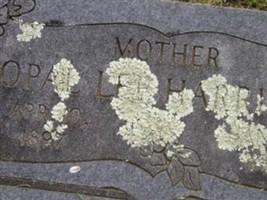 Opal Lee Anderson Harrison Opal Lee Anderson Harrison
