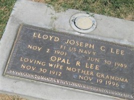 Opal Robinson Lee
