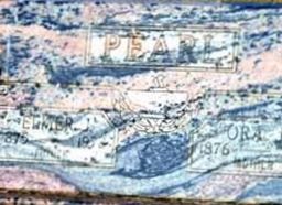 Ora J Pearl Ora J Pearl