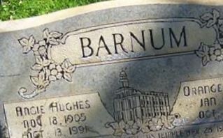 Orange Decator Barnum
