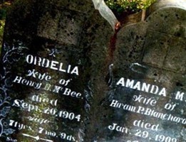 Ordelia Bee