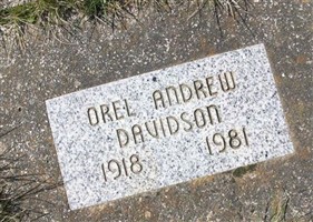 Orel Andrew Davidson