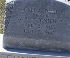 Orelia David Fontenot