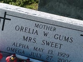Orelia W Gums Sweet Orelia W Gums Sweet