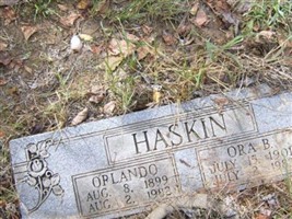 Orlando Haskin