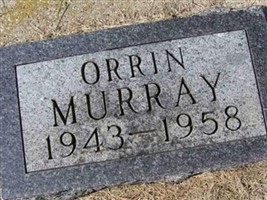 Orrin Murray
