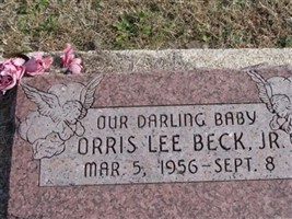 Orris Lee Beck, Jr Orris Lee Beck, Jr