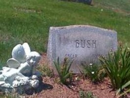 Oscar Bush