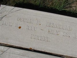 Oscar E Berglund
