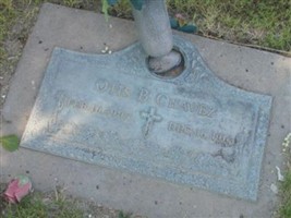 Otis B Chavez