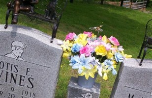 Otis Edward Vines
