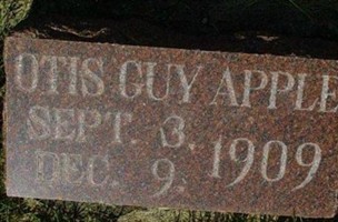Ottis Guy Apple (1869390.jpg)