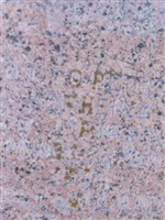 Otto Peter Hofheinz Otto Peter Hofheinz