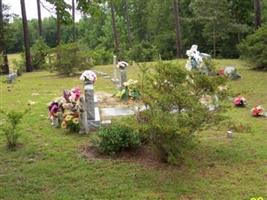 Owen H. Davis Family Cemetery