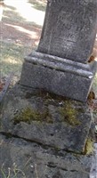 Owen Kees