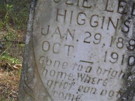 Ozzie Lee Higgins
