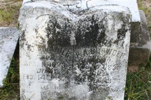 P. A. Browder