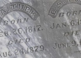 P. A. Turk P. A. Turk