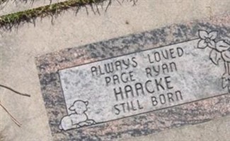 Page Ryan Haacke Page Ryan Haacke