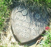 Pamala Ann McMillan Pamala Ann McMillan
