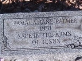 Pamala Jane Palmer Pamala Jane Palmer