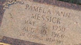 Pamela Ann Messick