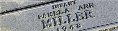 Pamela Ann Miller
