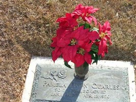 Pamela Dawn Quarles