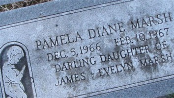 Pamela Diane Marsh