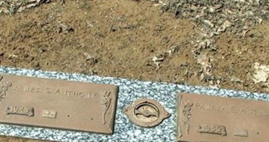 Pamela E. Anthony