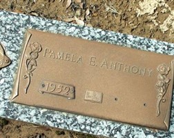 Pamela E. Anthony